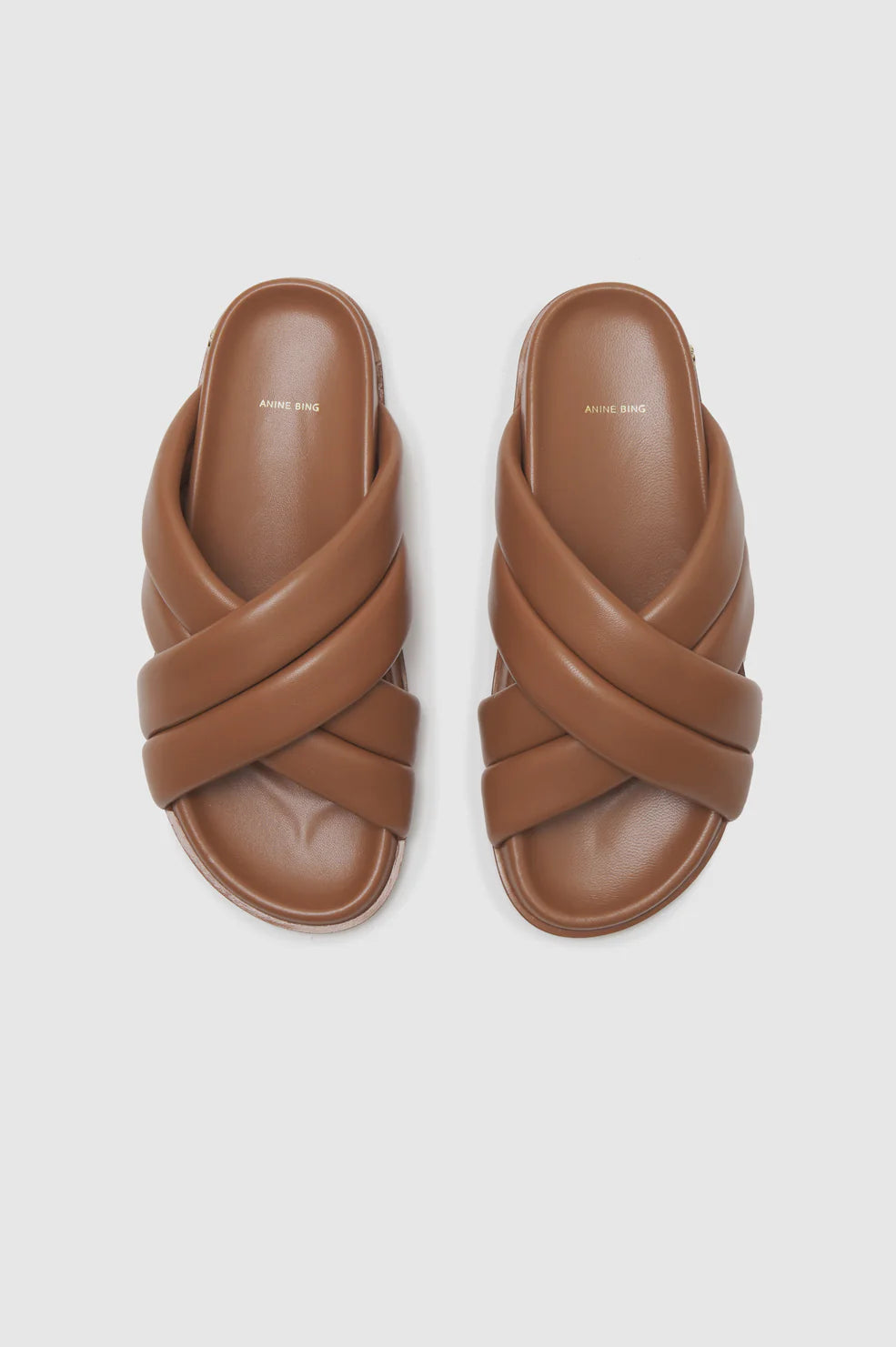 Lizzie Slides