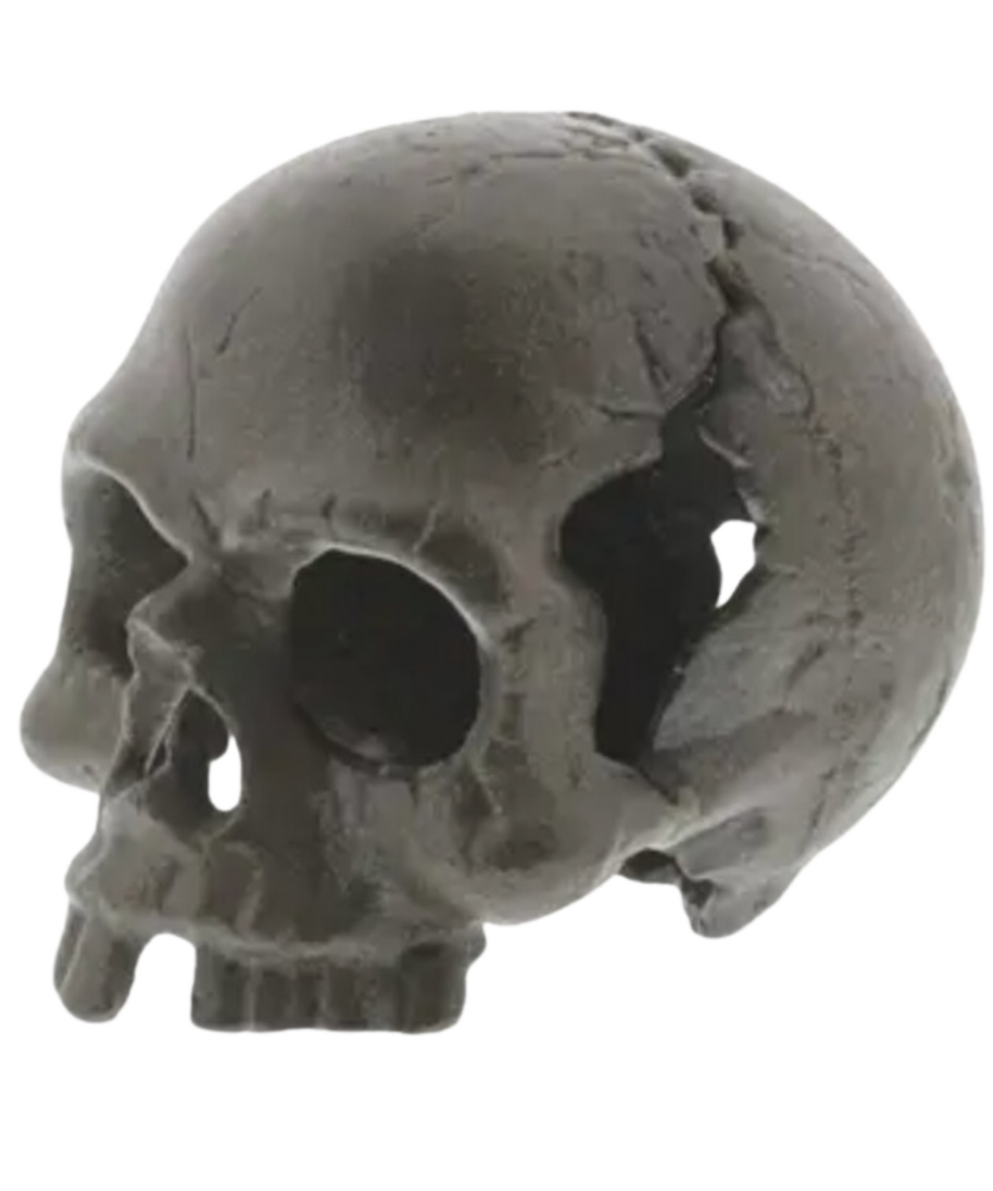 Cast Iron Skull